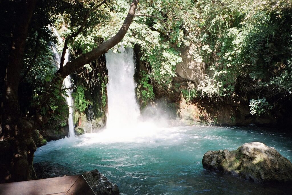Wasserfall zwischen Bäumen, der in ein türkisfarbenes Becken stürzt